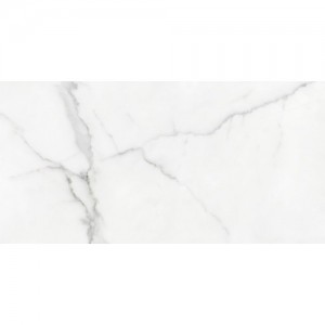 Pasta Blanca Anima White Mate 30x60